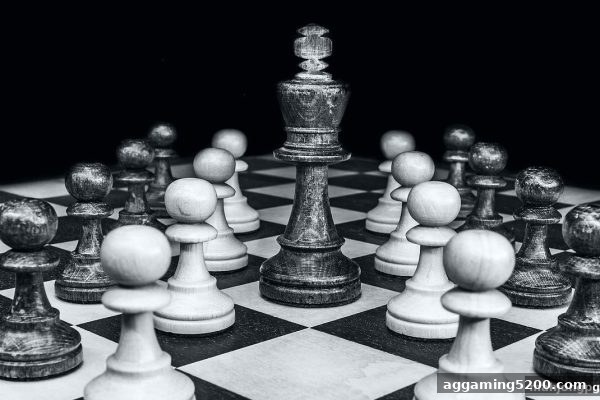 麻将胡了pg带你看：国际象棋职业赛事体系的数字化跃迁