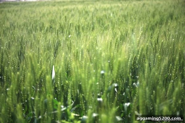 麻将胡了pg每周签到额外礼包全攻略：规则拆解、奖励分析与高效获取技巧