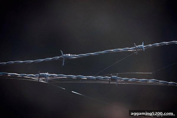 麻将胡了pg深度指南：从LOL职业联赛直播挖掘娱乐平台真实反馈的秘诀